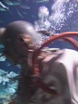 IMG_7364 IMG_7364
