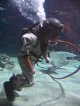 IMG_7372 IMG_7372