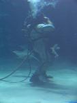 IMG_7373 IMG_7373
