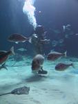 IMG_7377 IMG_7377