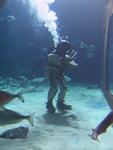 IMG_7378 IMG_7378