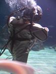 IMG_7382 IMG_7382