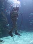 IMG_7387 IMG_7387