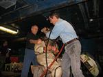 IMG_7391 IMG_7391