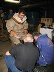IMG_7394 IMG_7394