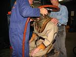 IMG_7406 IMG_7406