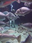 IMG_7420 IMG_7420