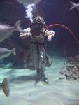 IMG_7421 IMG_7421