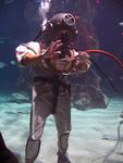 IMG_7431 IMG_7431