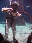 IMG_7432 IMG_7432