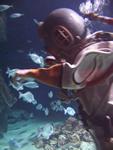 IMG_7433 IMG_7433