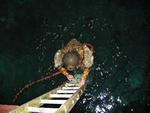 IMG_7435 IMG_7435