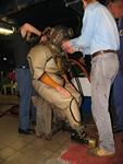 IMG_7438 IMG_7438