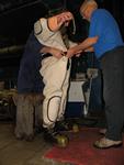 IMG_7464 IMG_7464