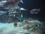 IMG_7486 IMG_7486