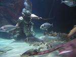 IMG_7487 IMG_7487
