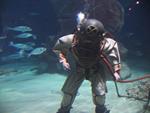 IMG_7488 IMG_7488