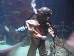 IMG_7492 IMG_7492
