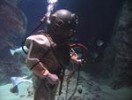 IMG_7493 IMG_7493