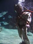 IMG_7497 IMG_7497