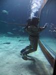 IMG_7506 IMG_7506