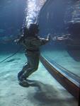 IMG_7508 IMG_7508