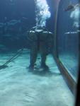 IMG_7513 IMG_7513