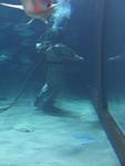 IMG_7514 IMG_7514