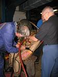 IMG_7520 IMG_7520