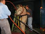 IMG_7561 IMG_7561