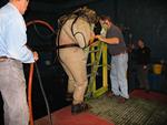 IMG_7562 IMG_7562