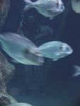 IMG_7565 IMG_7565