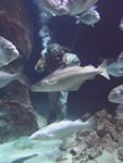 IMG_7567 IMG_7567