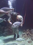 IMG_7568 IMG_7568