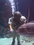IMG_7569 IMG_7569