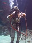 IMG_7570 IMG_7570