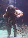 IMG_7571 IMG_7571