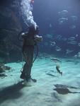IMG_7633 IMG_7633