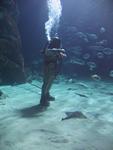 IMG_7635 IMG_7635