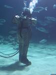 IMG_7636 IMG_7636