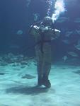 IMG_7637 IMG_7637