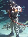 IMG_7643 IMG_7643