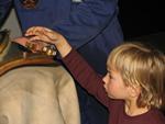 IMG_7679 IMG_7679