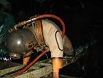 IMG_7705 IMG_7705