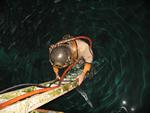 IMG_7706 IMG_7706