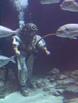 IMG_7707 IMG_7707