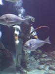 IMG_7708 IMG_7708