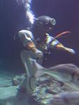 IMG_7709 IMG_7709