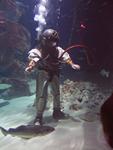 IMG_7710 IMG_7710