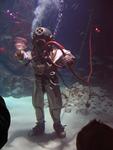 IMG_7711 IMG_7711